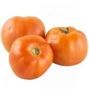 Regular Tomato