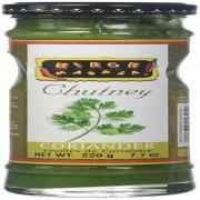 Mirch Masala Coriander Chutney