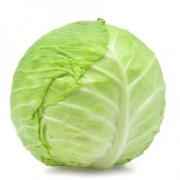 CABBAGE GREEN