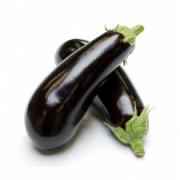 Holland Egg Plant