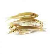 Deshi Mola (Frozen Cut Clean Ready To Cook)