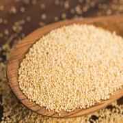 Swad poppy Seeds