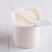 Plain Yogurt (8 oz)