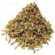 Roasted Fennel
