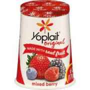 YOPLAIT MIXED FRUIT YOGURT