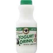KAROUNS YOGURT DRINK W/MINT