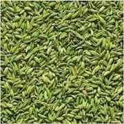 GAZAB GREEN FENNEL STRONG MINT