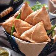 2 Pieces Samosa Plate