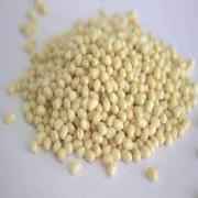 Swad Urad Gota