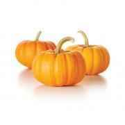 Yellow Pumpkin (2 To 2.5lb)
