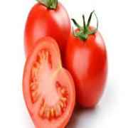 TOMATO REGULAR
