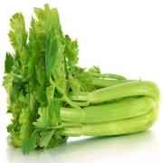 CELERY FRESH