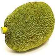 WHOLE JACKFRUIT