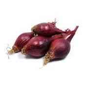 H Pearl Onion bag