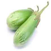 Egg Plant Green