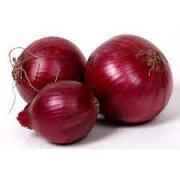 Onion Red