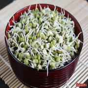 Bean Spouts
