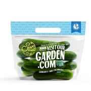 Suntastic Mini Cucumber