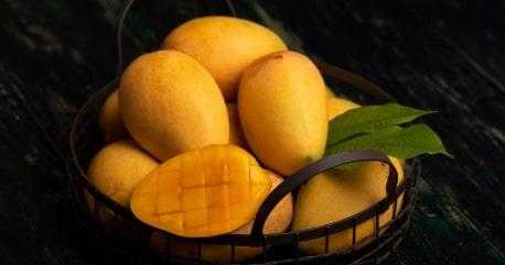 Fresh Indian Alphonso Mangoes Combo of 10-12