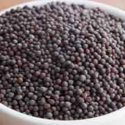 Krish Mustard Seed