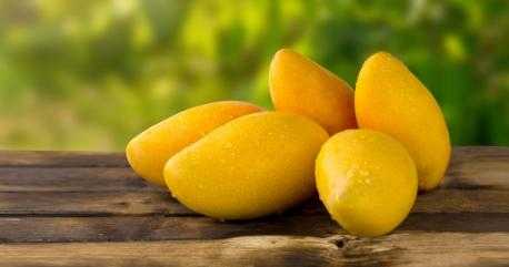 Fresh Indian Mallika Mangoes Combo of 8-10	