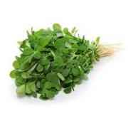 Fresh Methi Leave