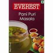 EVEREST PANI PURI MASALA