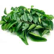 CURRY LEAVES