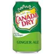 CANADA DRY GINGER ALE COOL PK 