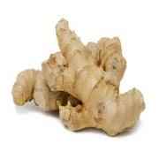 GINGER