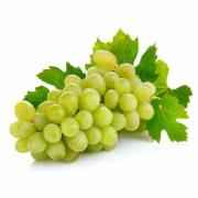 Indian Grapes