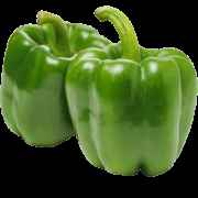 GREEN BELL PEPPER 