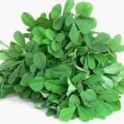 Fresh Methi