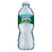 Poland Spring Water