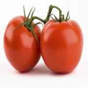 Regular Tomatoes