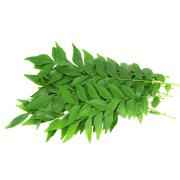 Curry Leaf Pack