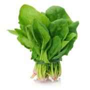 Spinach Bunch