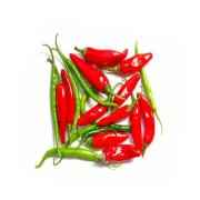 Green/Red Chilli Pack