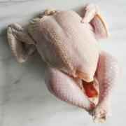Young Whole Chicken