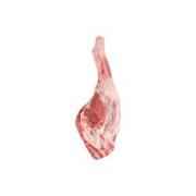Zabiha halal baby lamb shoulder