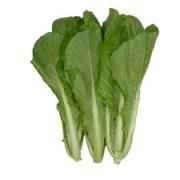 Green Mustard