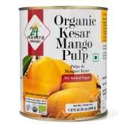 24 M Mango Pulp
