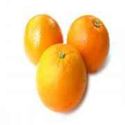 Navel Orange