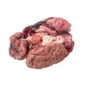 OFFAL - Brain