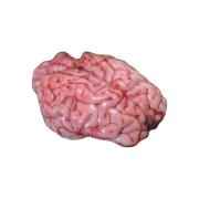 Veal Brain