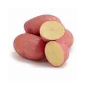 Red Potato