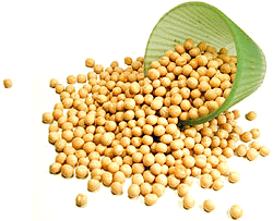 Bansi Yellow Whole Peas (white Vatana) 4Lbs