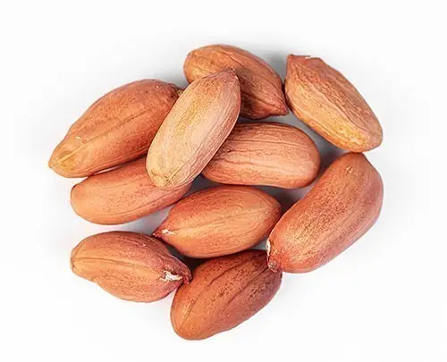Peanuts Raw 2Lbs