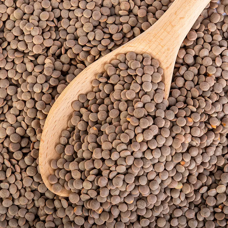 Bansi Masoor Whole (whole Red Lentil) Brown 2Lbs