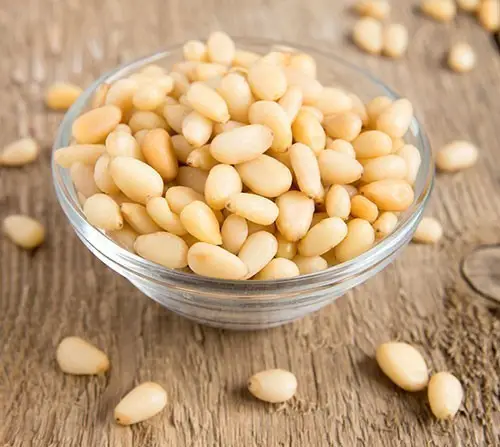 Nirav Pine Nuts 1Pack